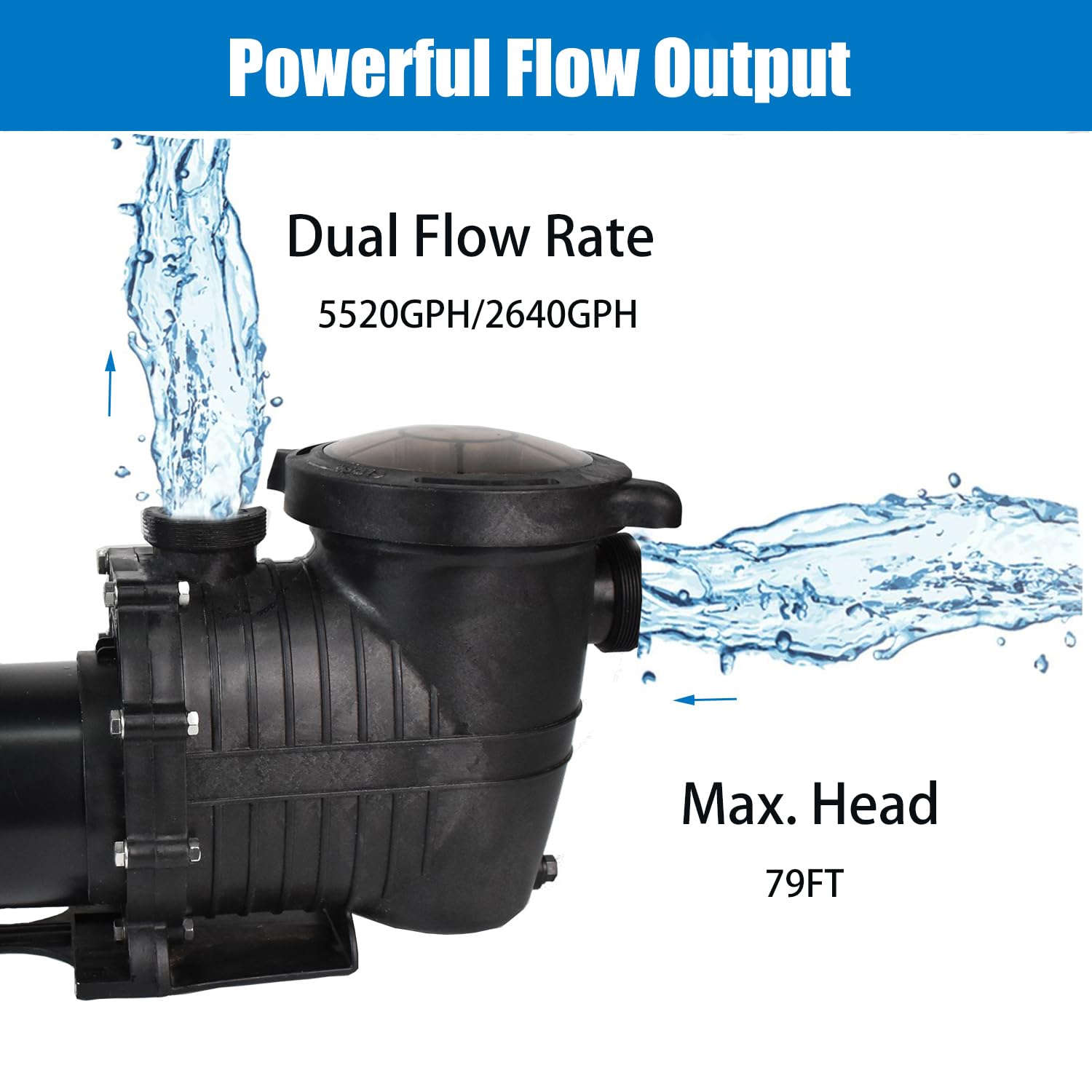 Amazon.com : 1.5HP 2-Speed Pool Pump,230V Inground Pool Pump